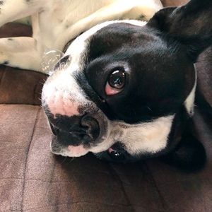 Meet your Posher, Chad